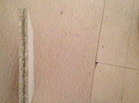IMG_0230.JPG
